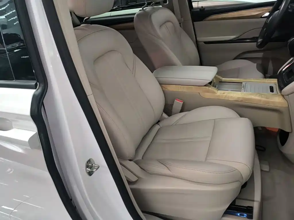 Buick GL8 — миниатюра 25