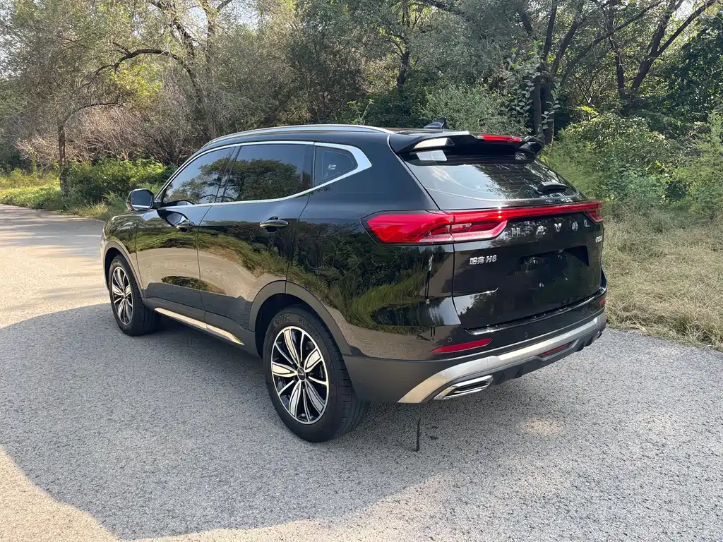 Haval H6 — миниатюра 16