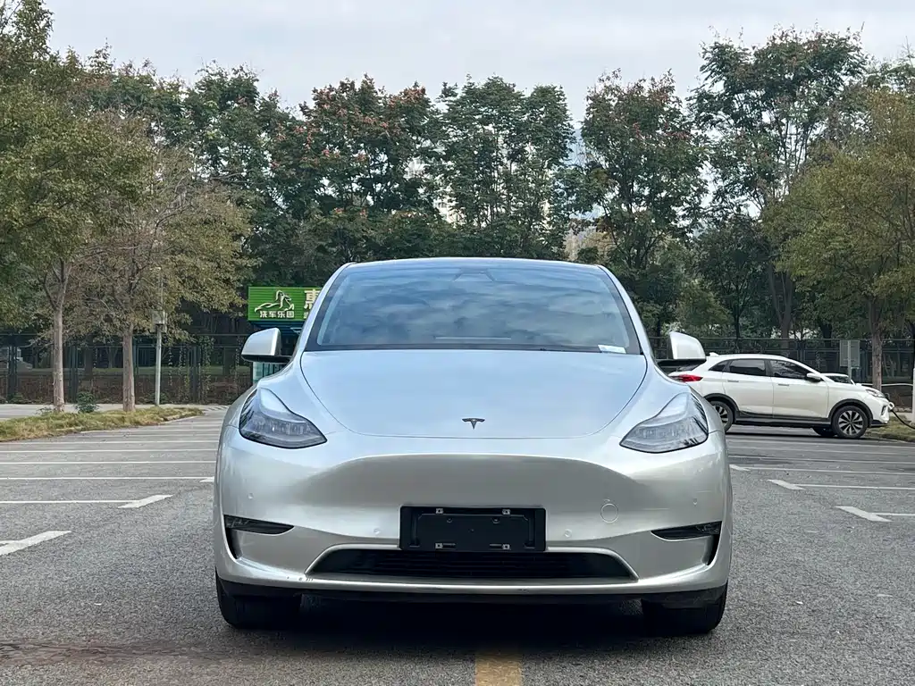 Tesla Model Y — миниатюра 2