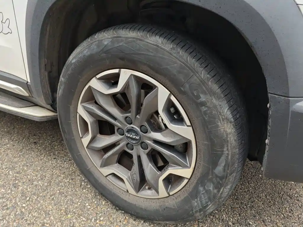 Haval Big Dog — миниатюра 24