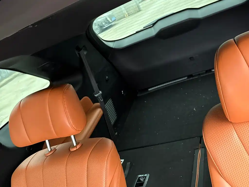 WEI PAI WEI BRAND BLUE MOUNTAIN