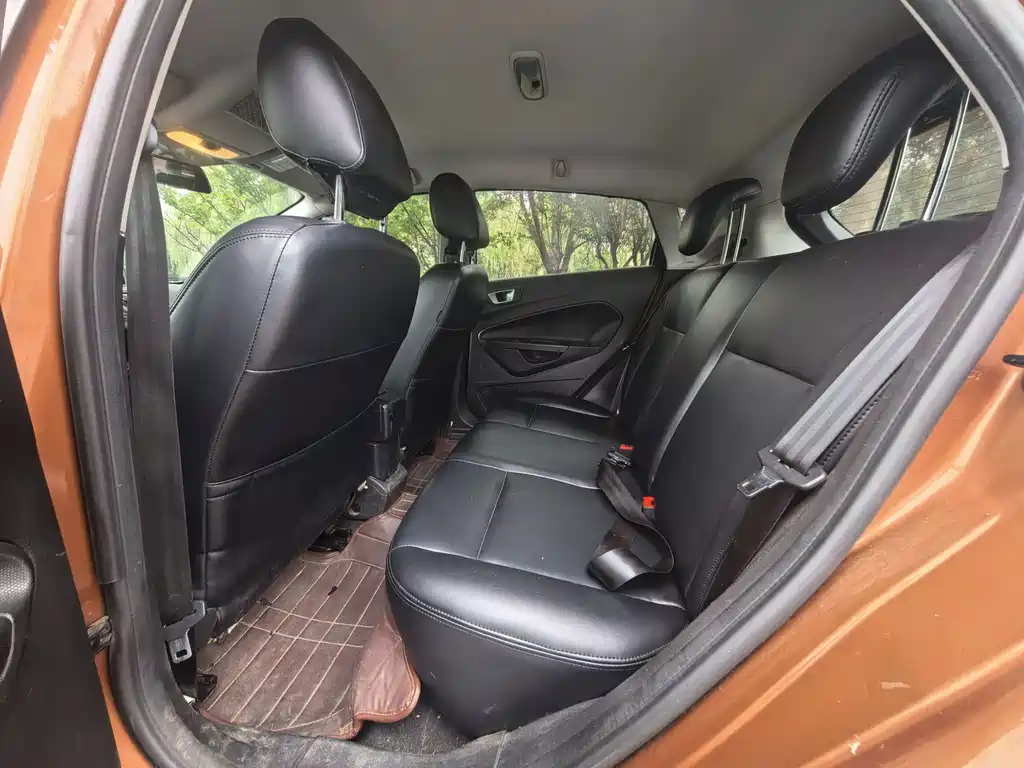 Ford Fiesta — миниатюра 7