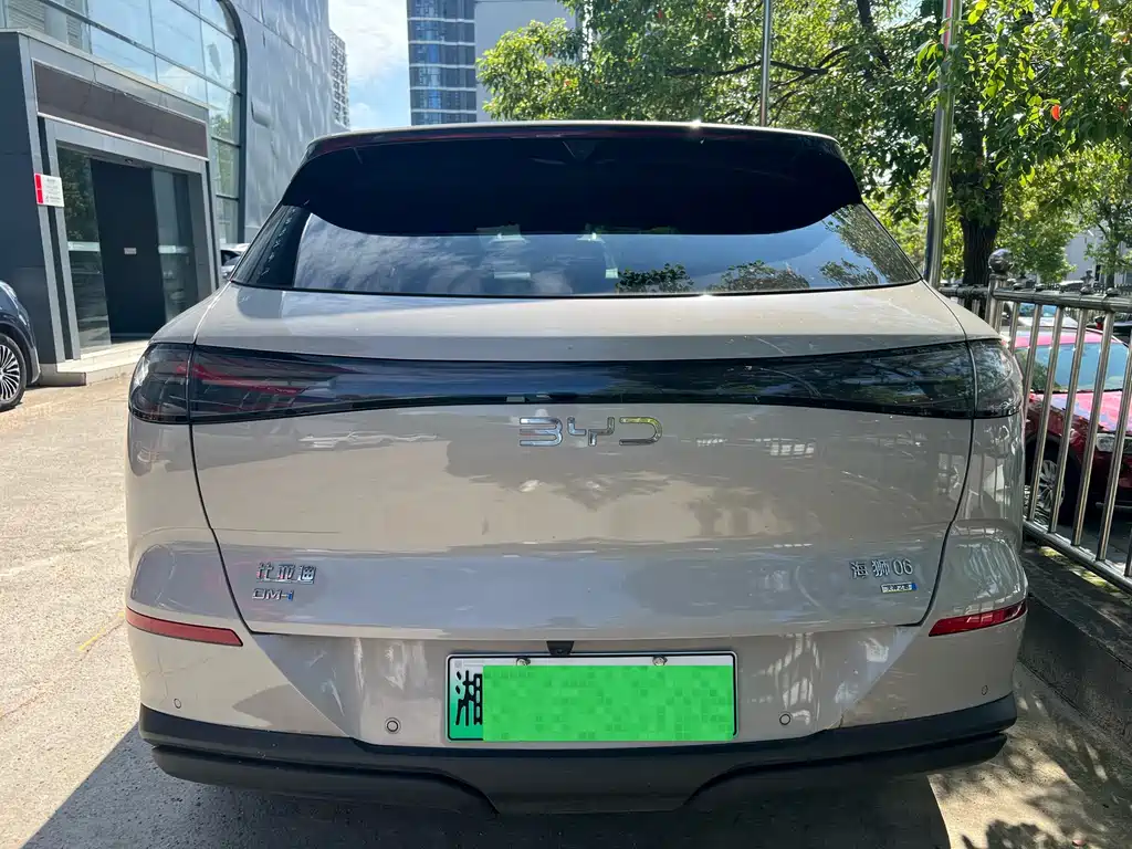 BYD Haisi 06 — миниатюра 8