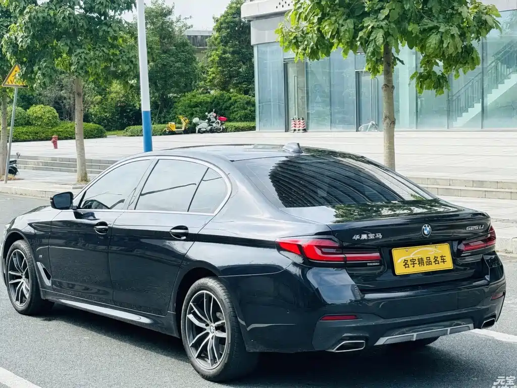 BMW 5 Series — миниатюра 6