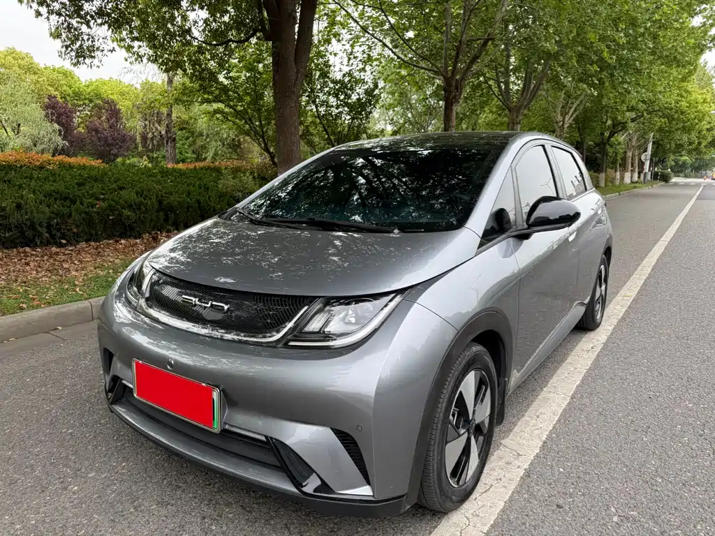 Byd Dolphin 2023