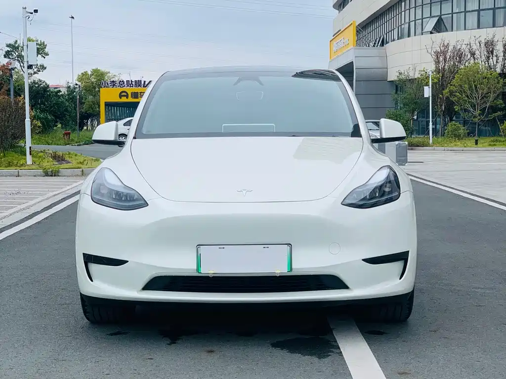 Tesla Model Y — миниатюра 2