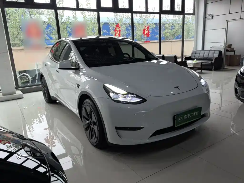 Tesla Model Y — миниатюра 4
