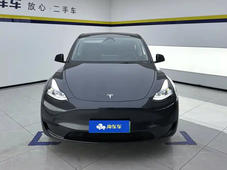 Tesla Model Y — миниатюра 2