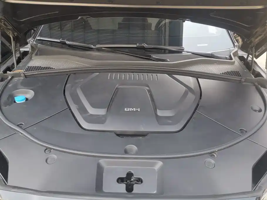 BYD Song Plus DM-i 2024 — фото 10