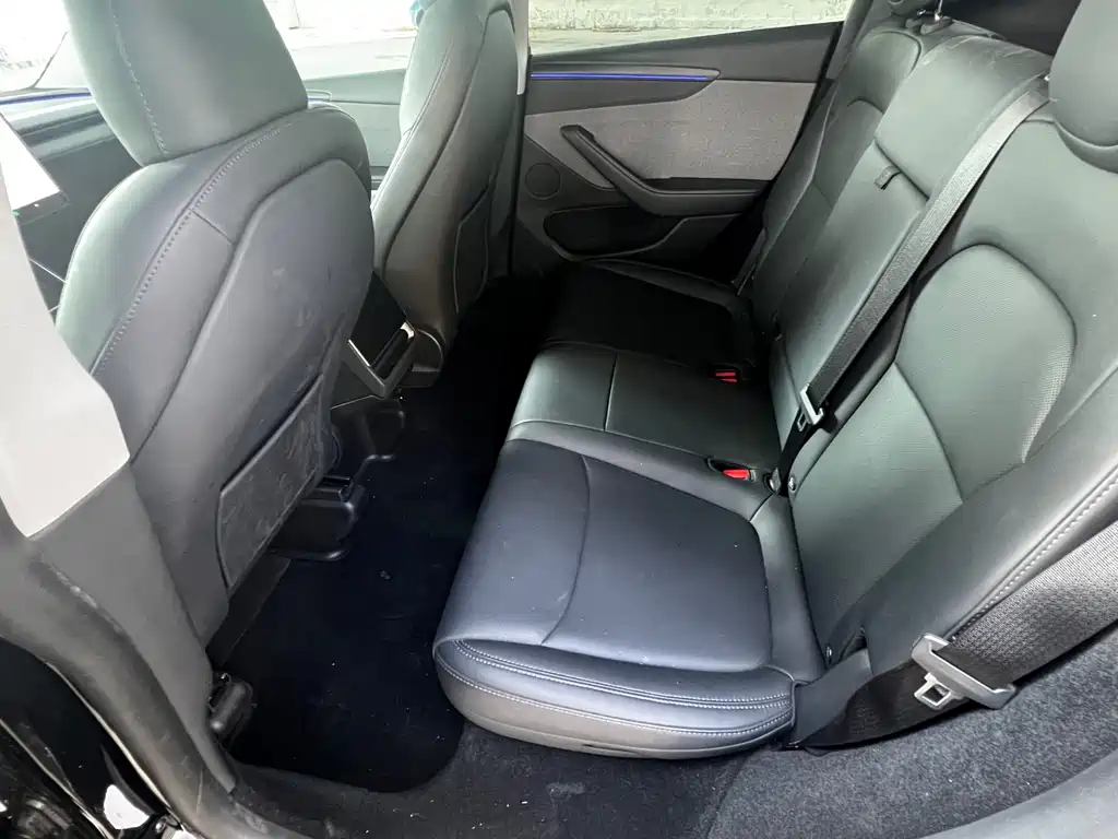 Tesla Model Y — миниатюра 7