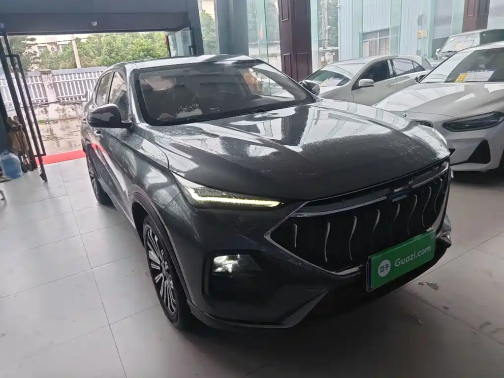 Oshan Oushang X5 — миниатюра 4
