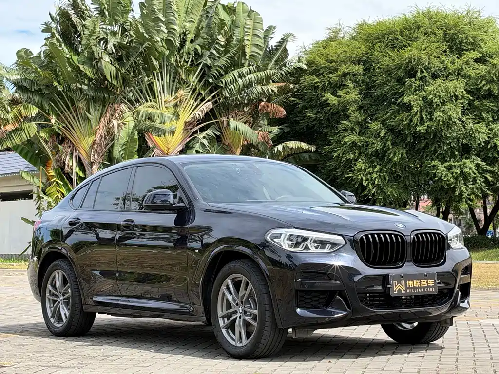 BMW X4 — миниатюра 3