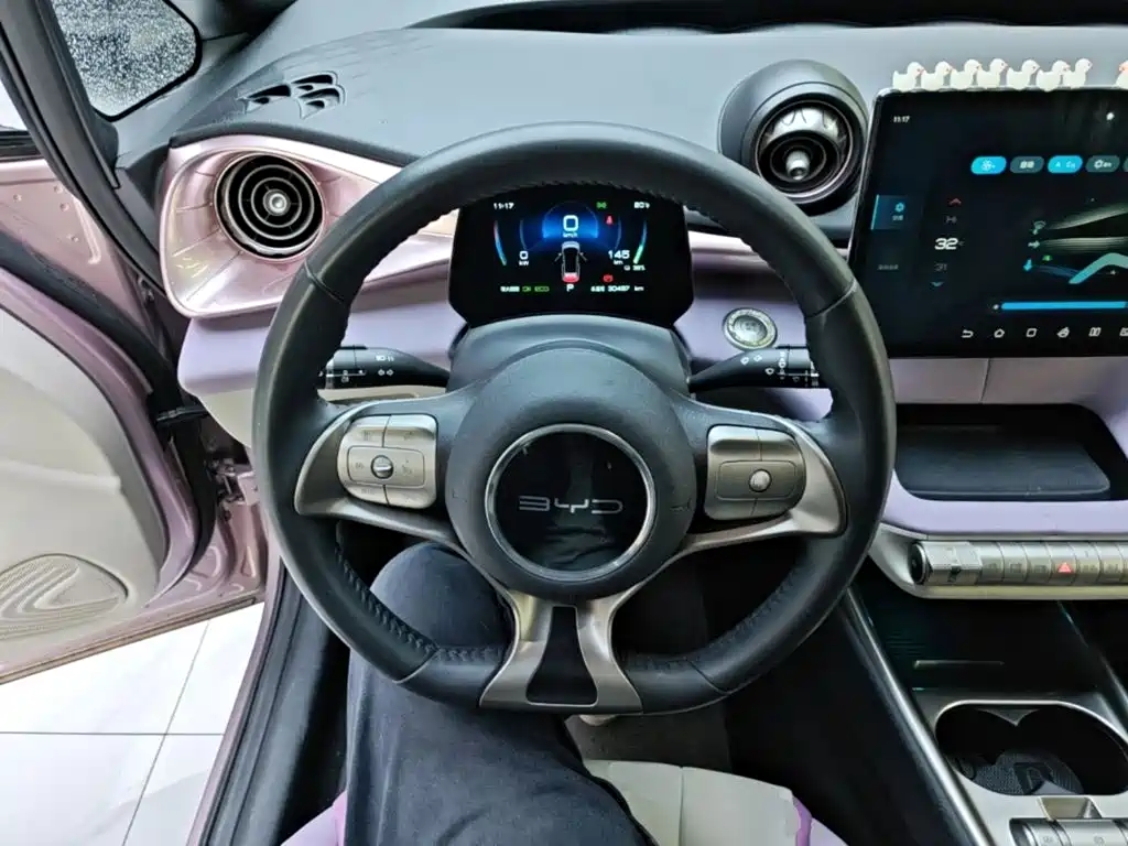 BYD Dolphin — миниатюра 11