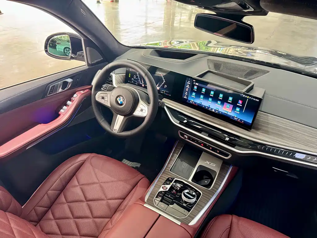 BMW X5 — миниатюра 8