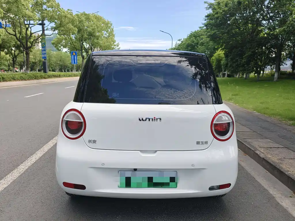 Changan Lumin 2024 205km