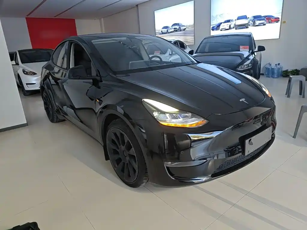 Tesla Model Y — миниатюра 4
