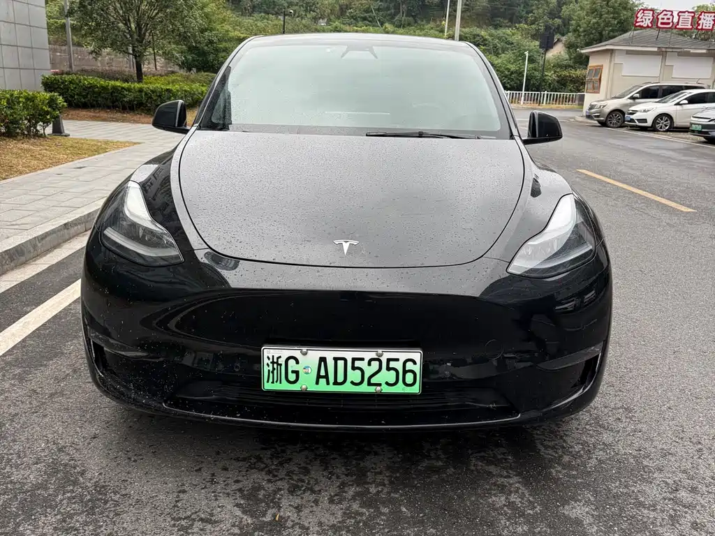 Tesla Model Y — миниатюра 2
