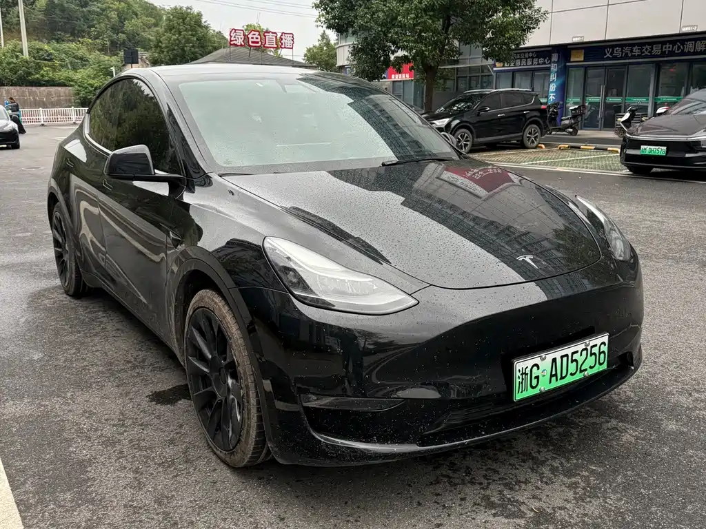 Tesla Model Y — миниатюра 18
