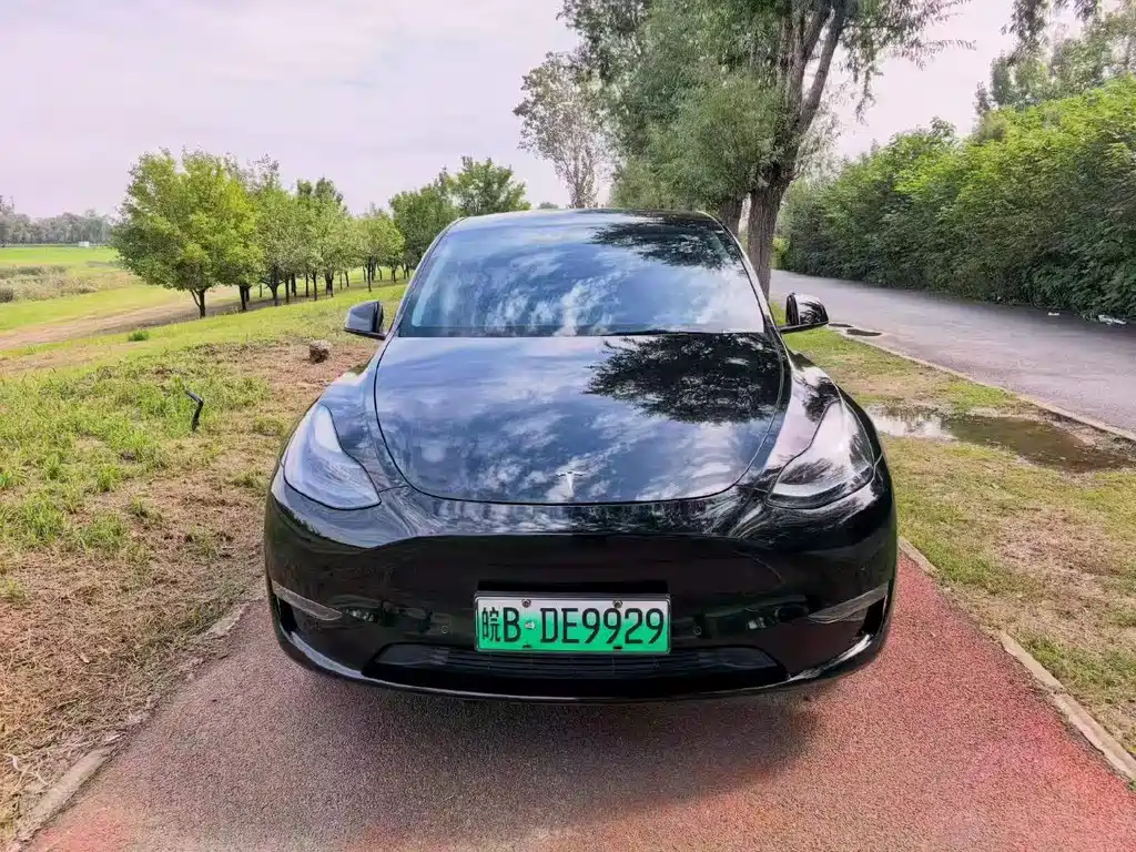 Tesla Model Y — миниатюра 2