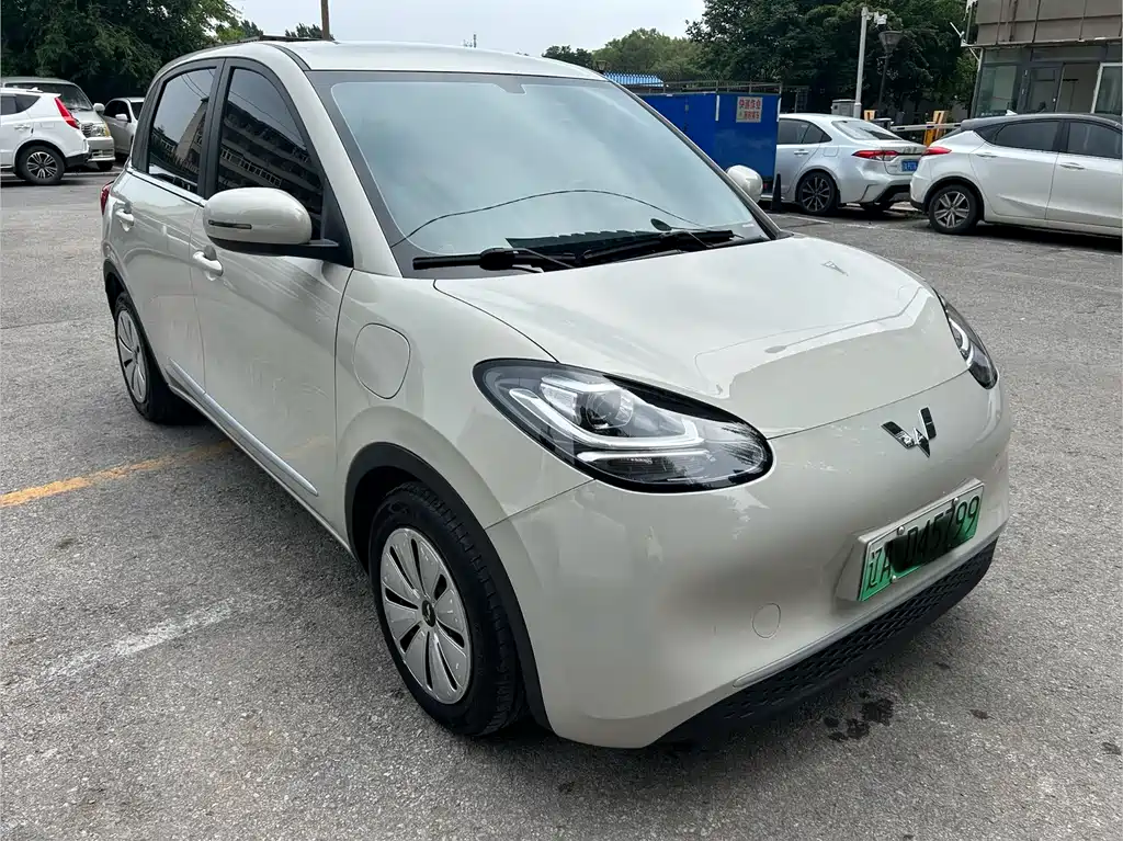 Wuling Binguo 2023 333km