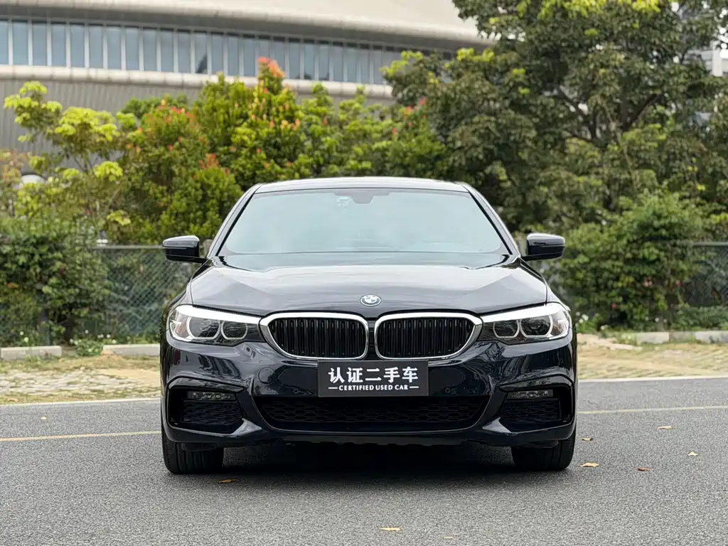 BMW 5 Series 5 2019 525Li M Sport