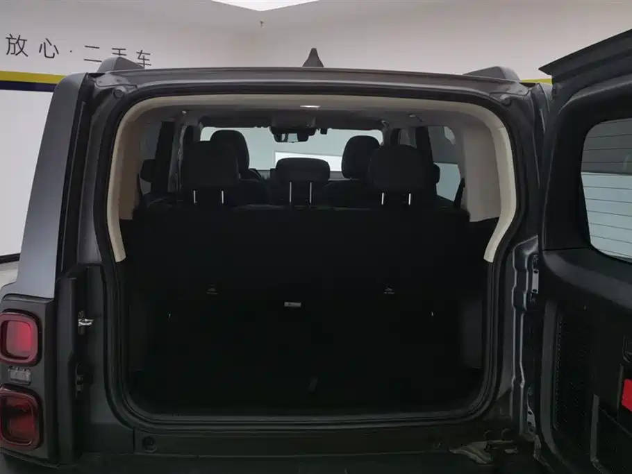 HAVAL RAPTORS NEW ENERGY