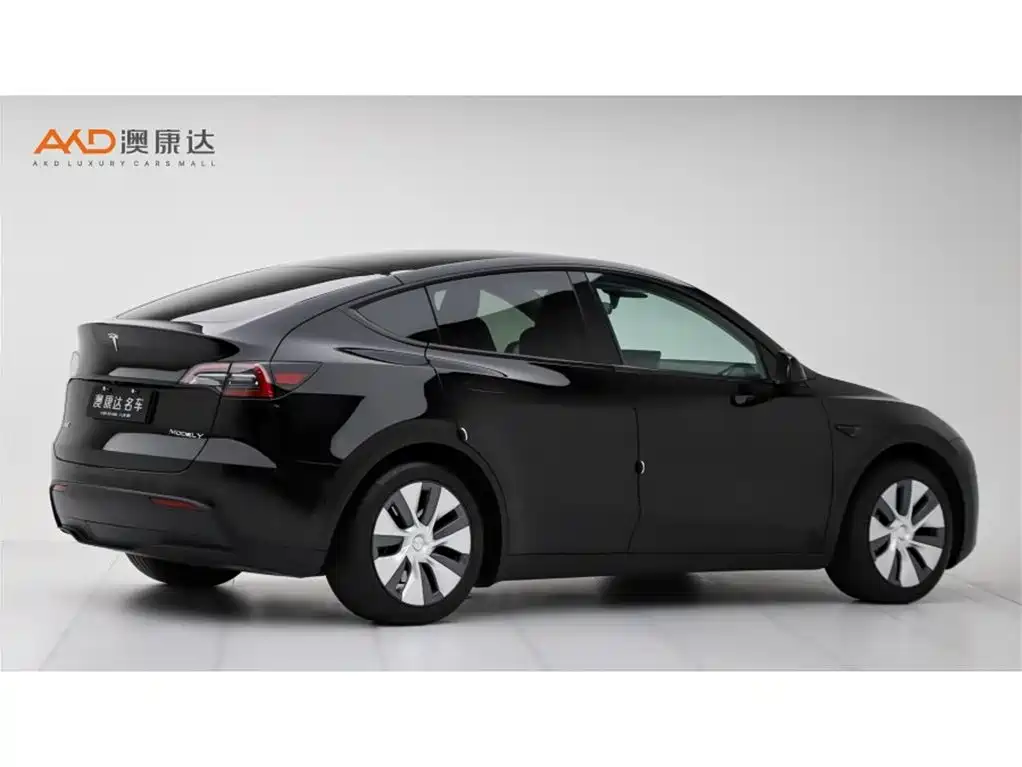Tesla Model Y — миниатюра 3