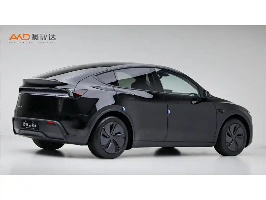 Tesla Model Y — миниатюра 3