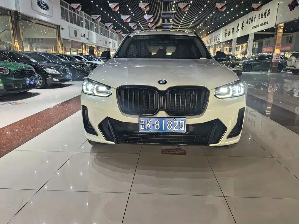 BMW X3 — миниатюра 9