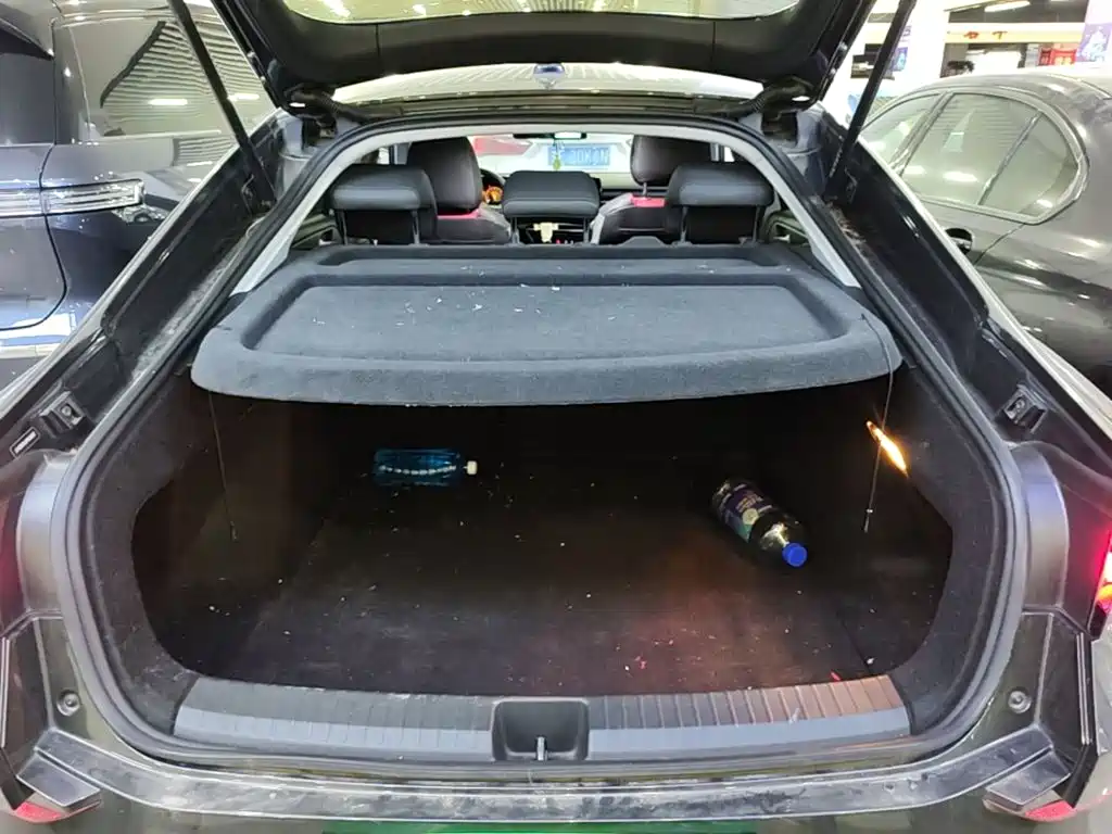 Volkswagen Lamando — миниатюра 19
