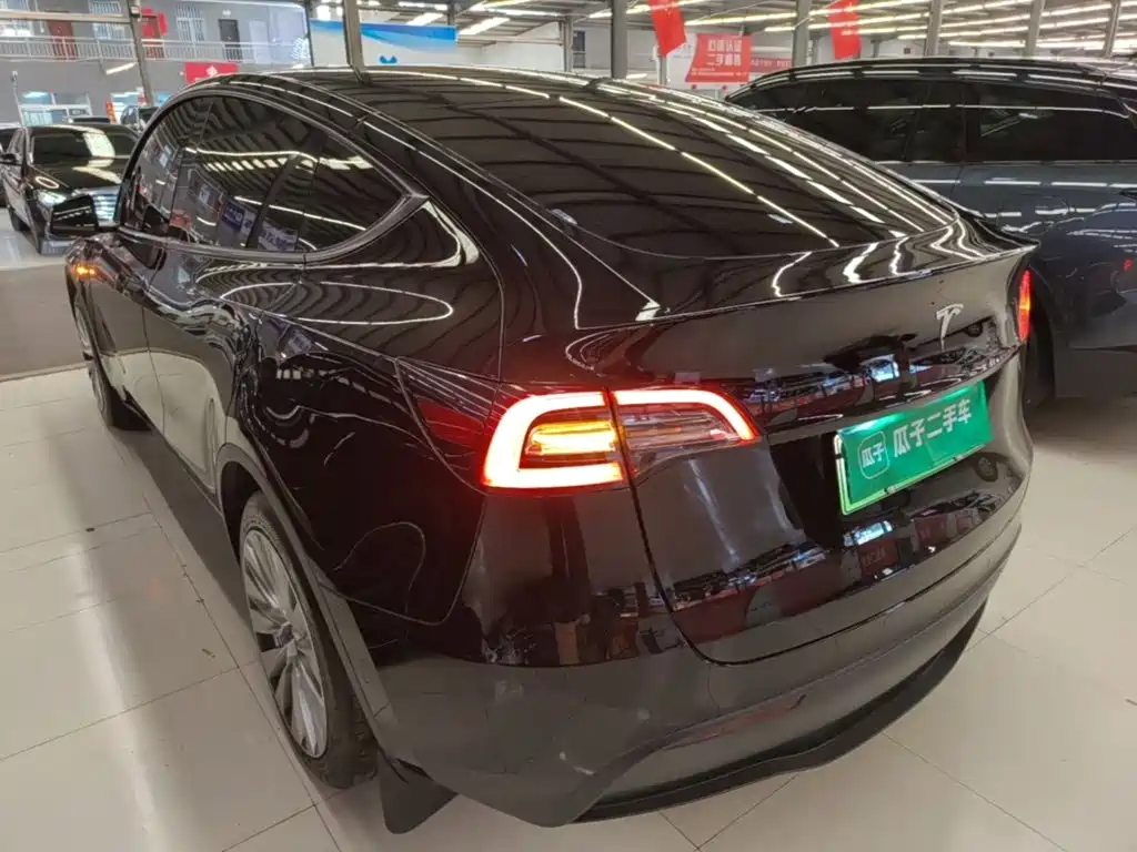 Tesla Model Y — миниатюра 5