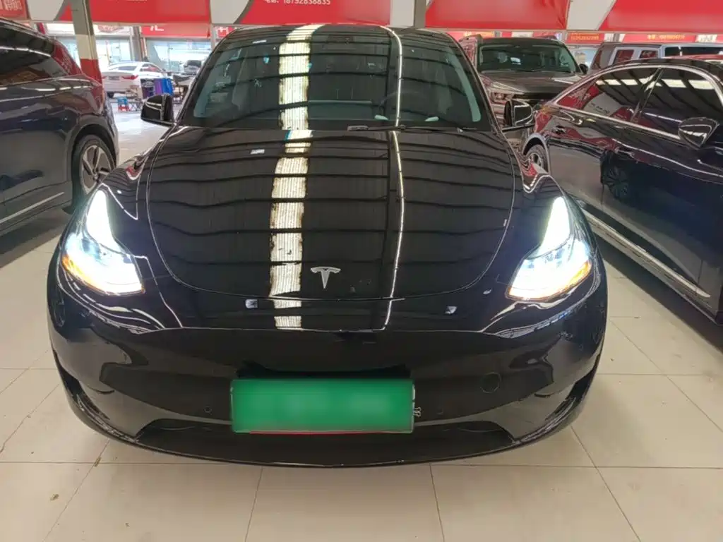 Tesla Model Y — миниатюра 3