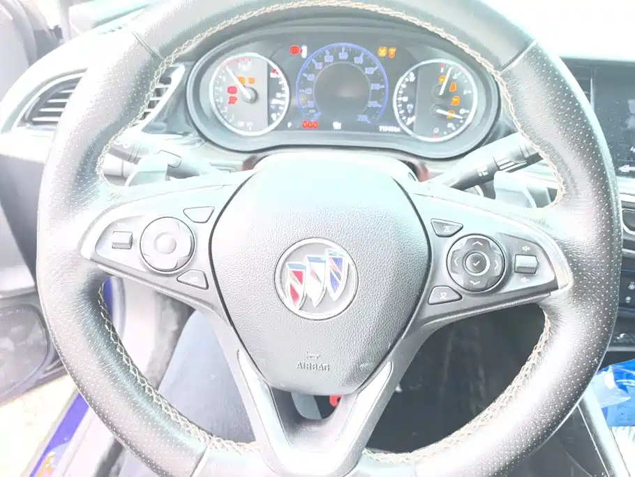 Buick Regal — миниатюра 15