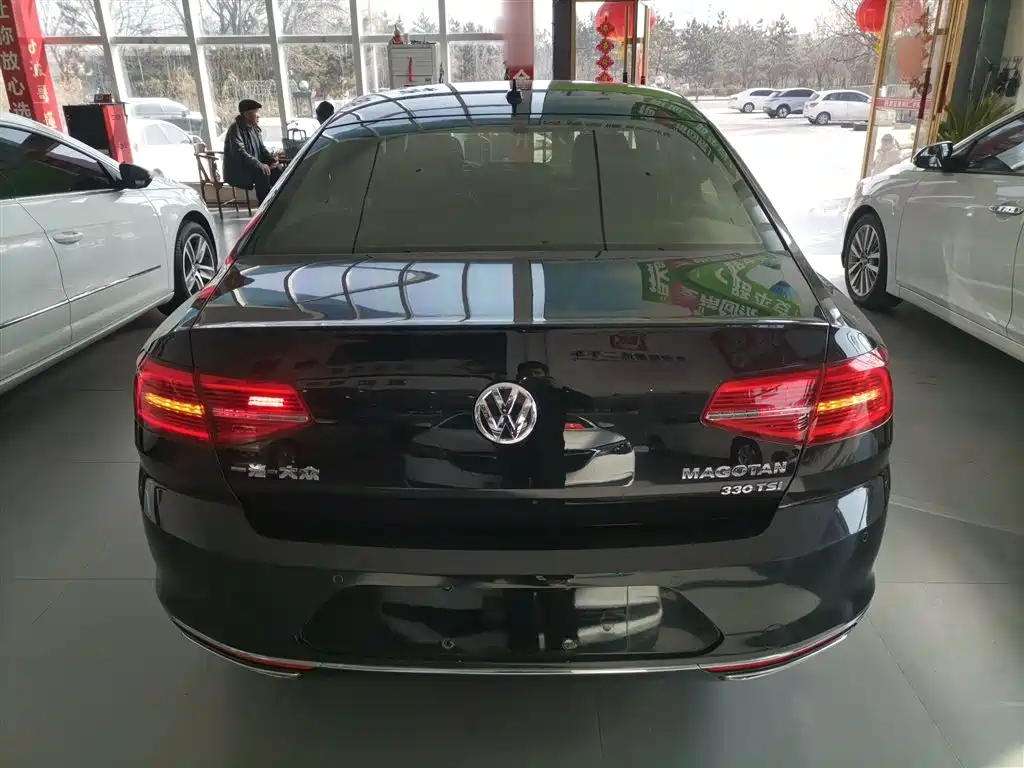 Volkswagen Magotan 2019 330TSI DSG Luxury VI