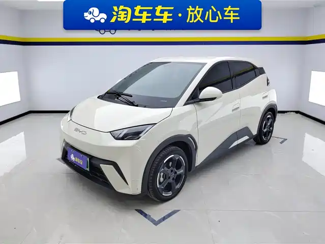 2024 BYD Seagull
