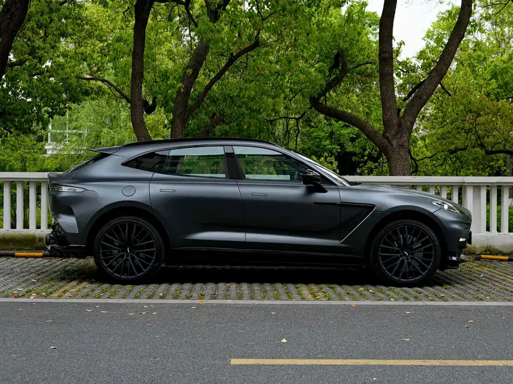 Aston Martin DBX — миниатюра 5