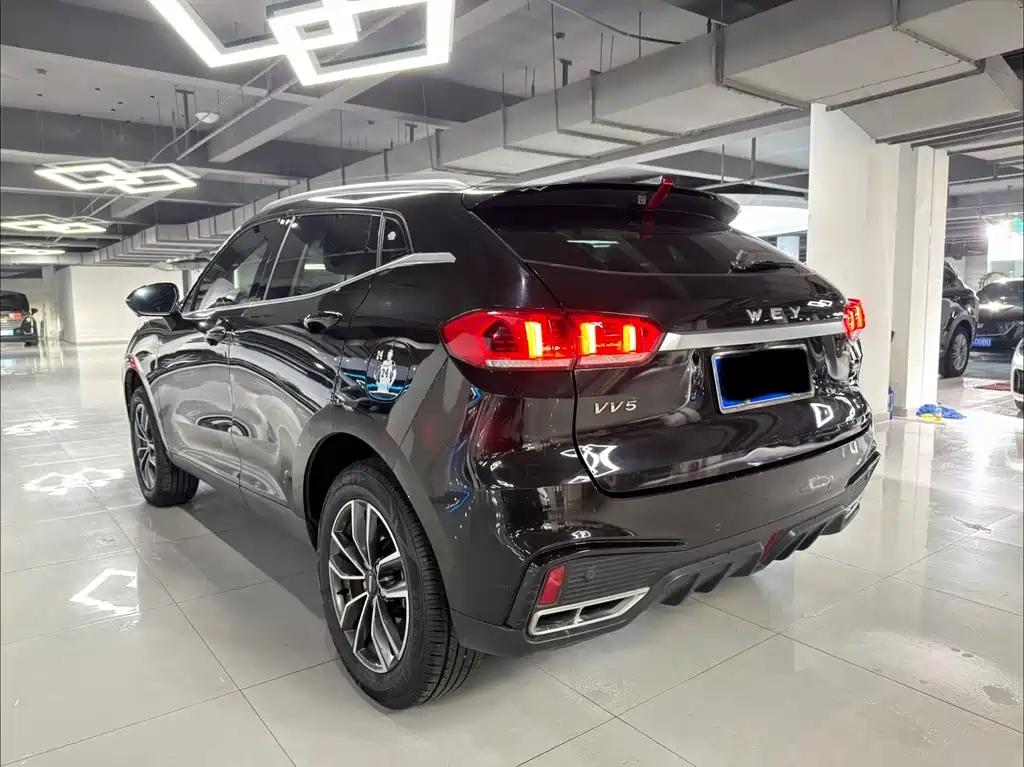 WEI PAI WEI BRAND VV5