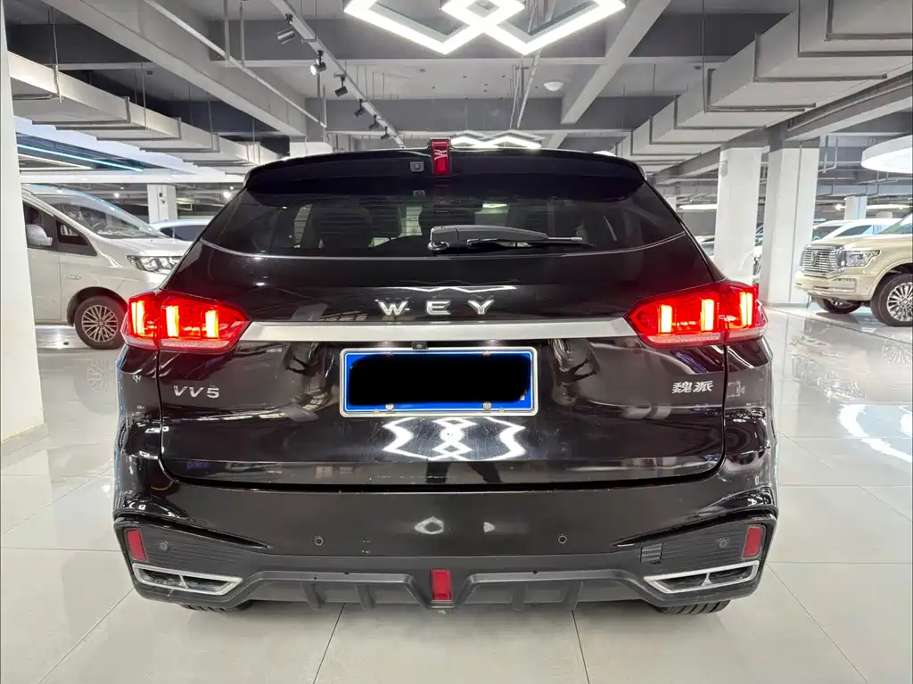 WEI PAI WEI BRAND VV5