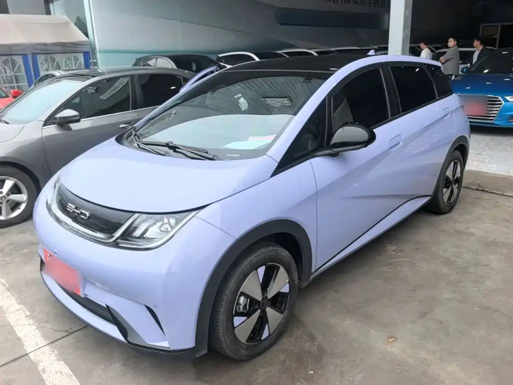 BYD Dolphin