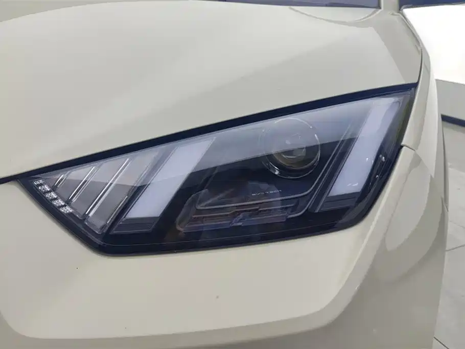 BYD Seagull 2024 305km