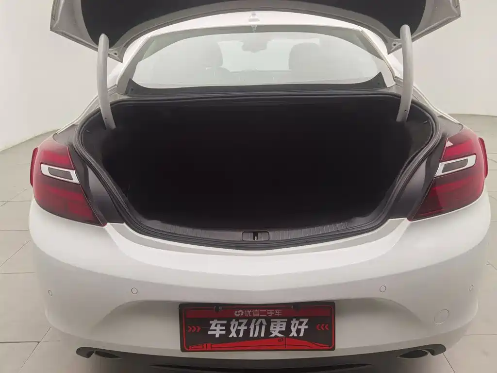 Buick Regal — миниатюра 16