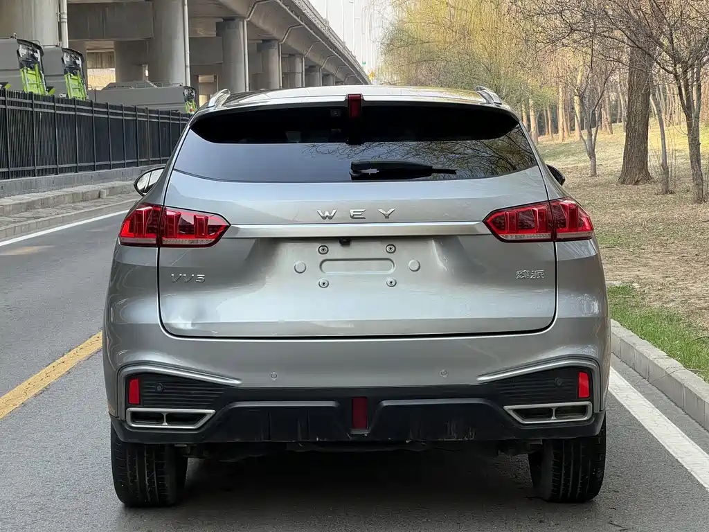 WEI PAI WEI BRAND VV5