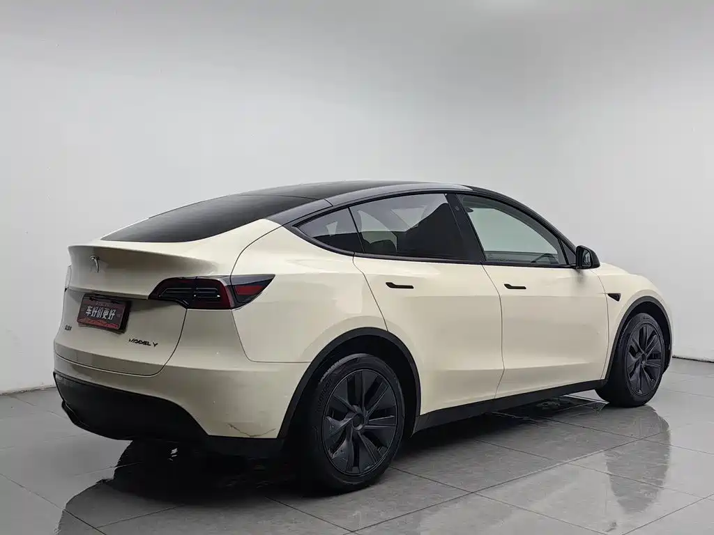 Tesla Model Y — миниатюра 2