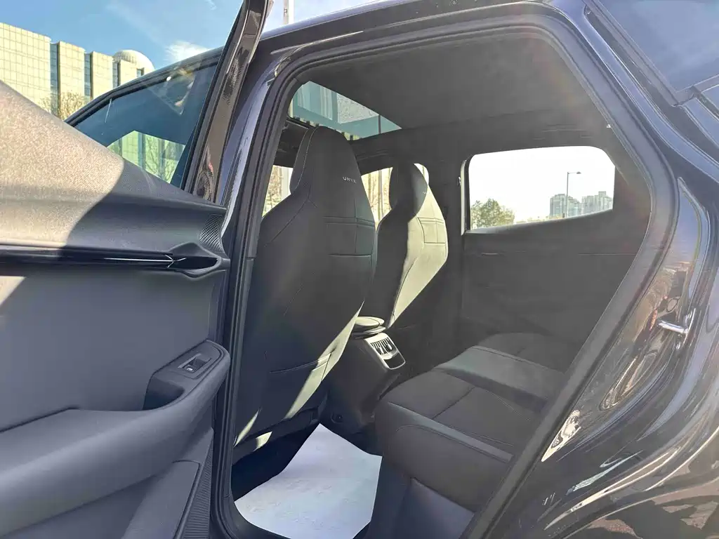 VOLKSWAGEN WITH THE CROWD 06