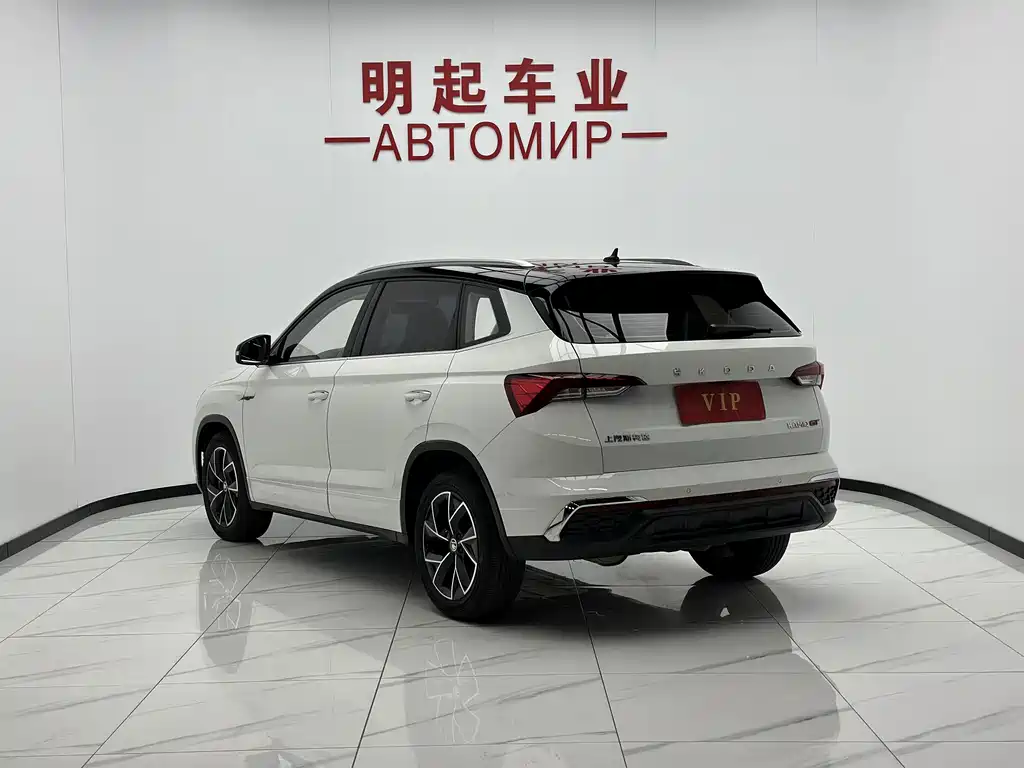 Skoda Kamiq — миниатюра 7