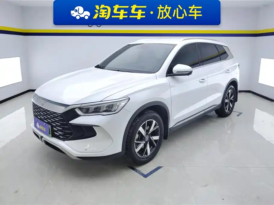 Byd Pro New Energy 2024