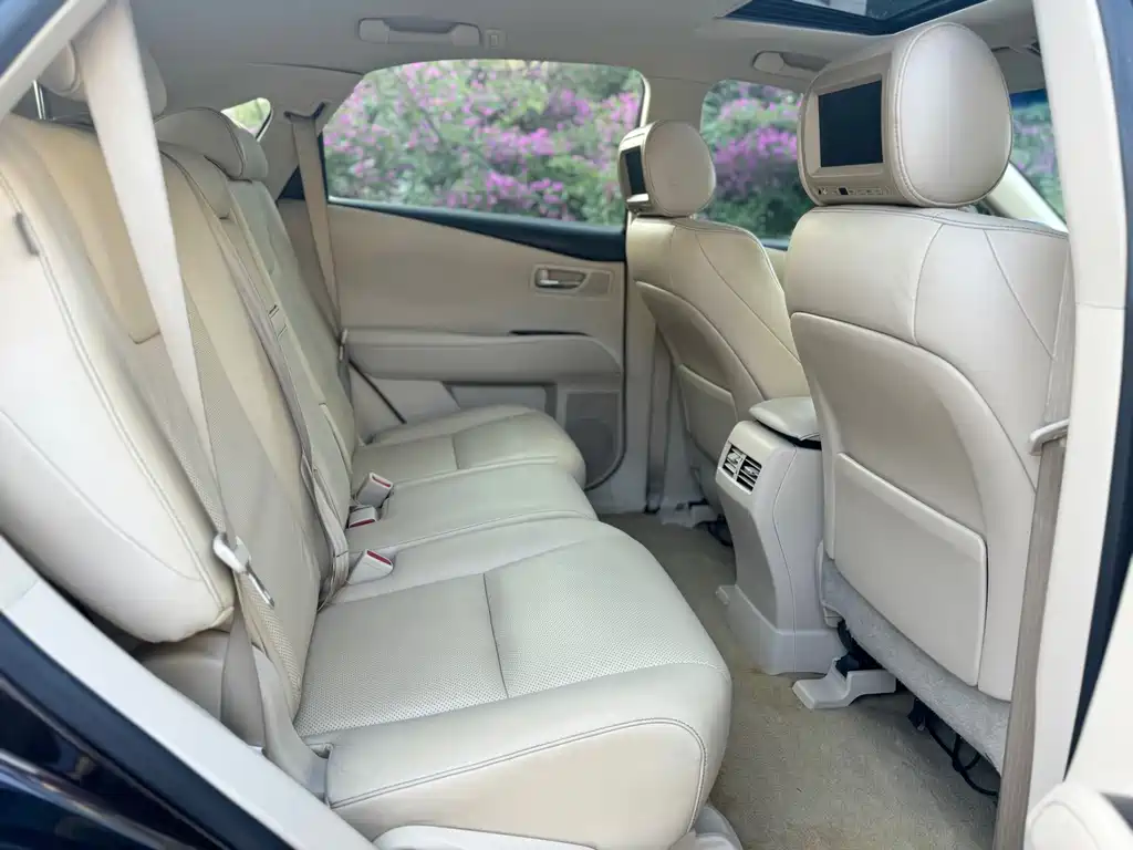 Lexus RX Classic — миниатюра 14
