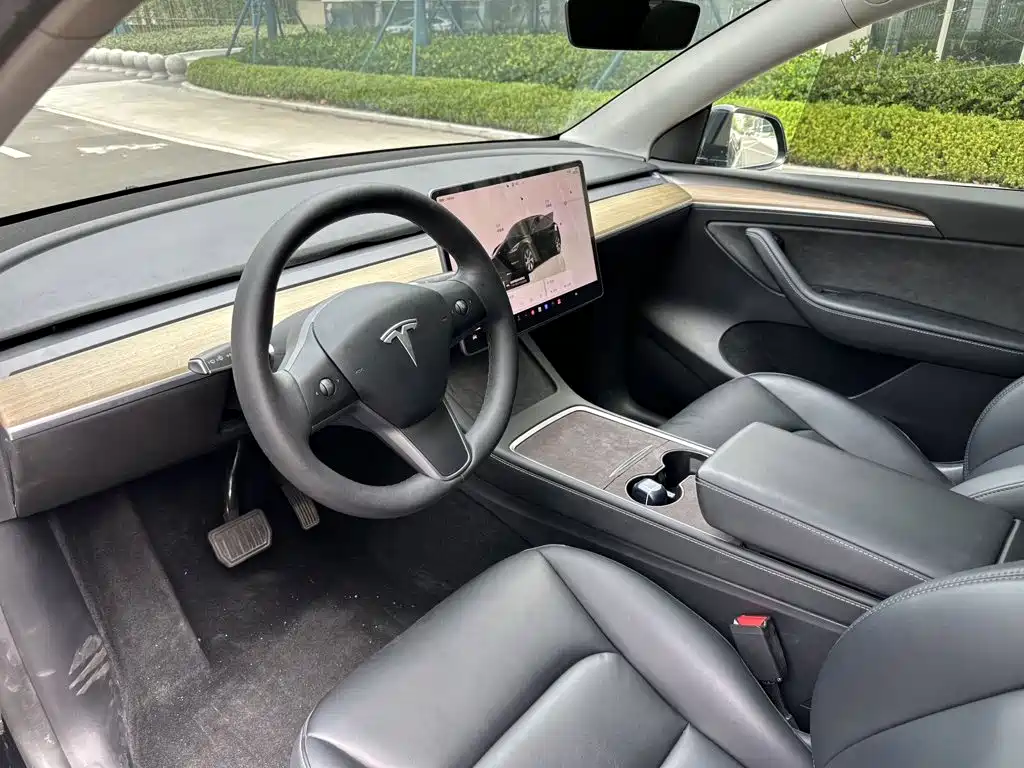 Tesla Model Y — миниатюра 7