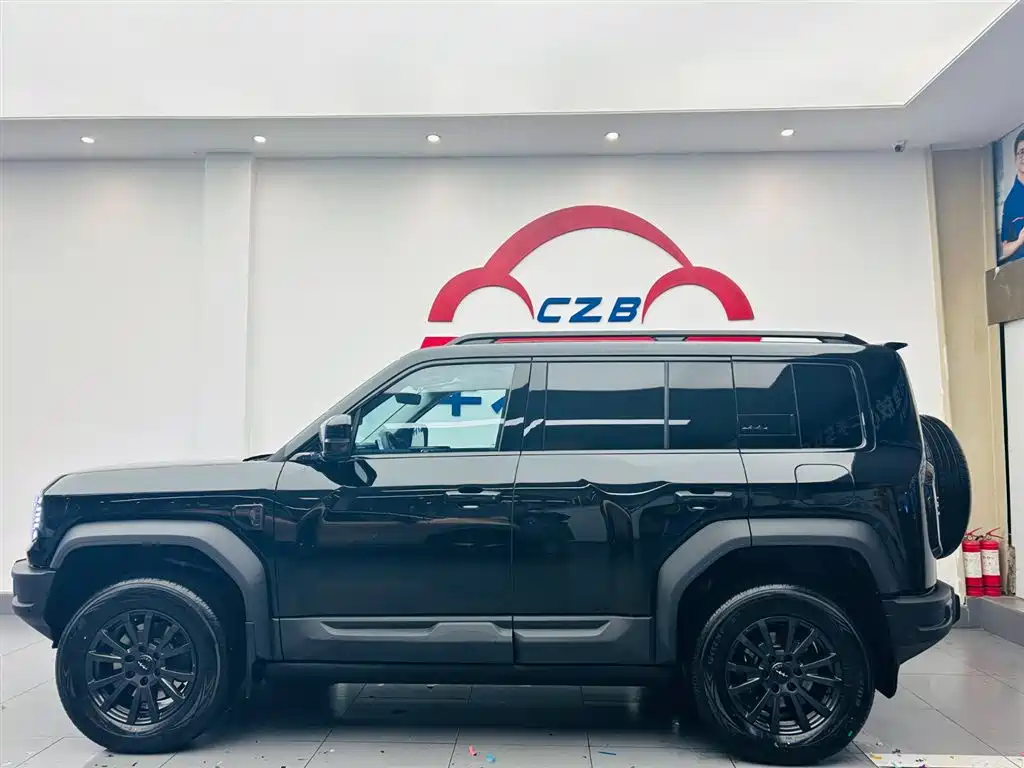 FANG CHENG BAO LEOPARD 5