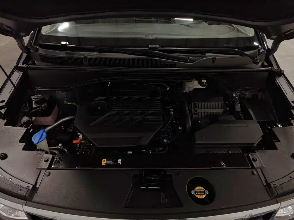Hyundai Custo — миниатюра 6